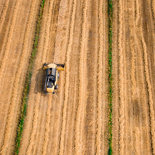 Aerial view of a tractor harvesting a field.