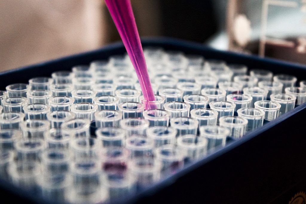 Scientist using a tool for a research experiment.